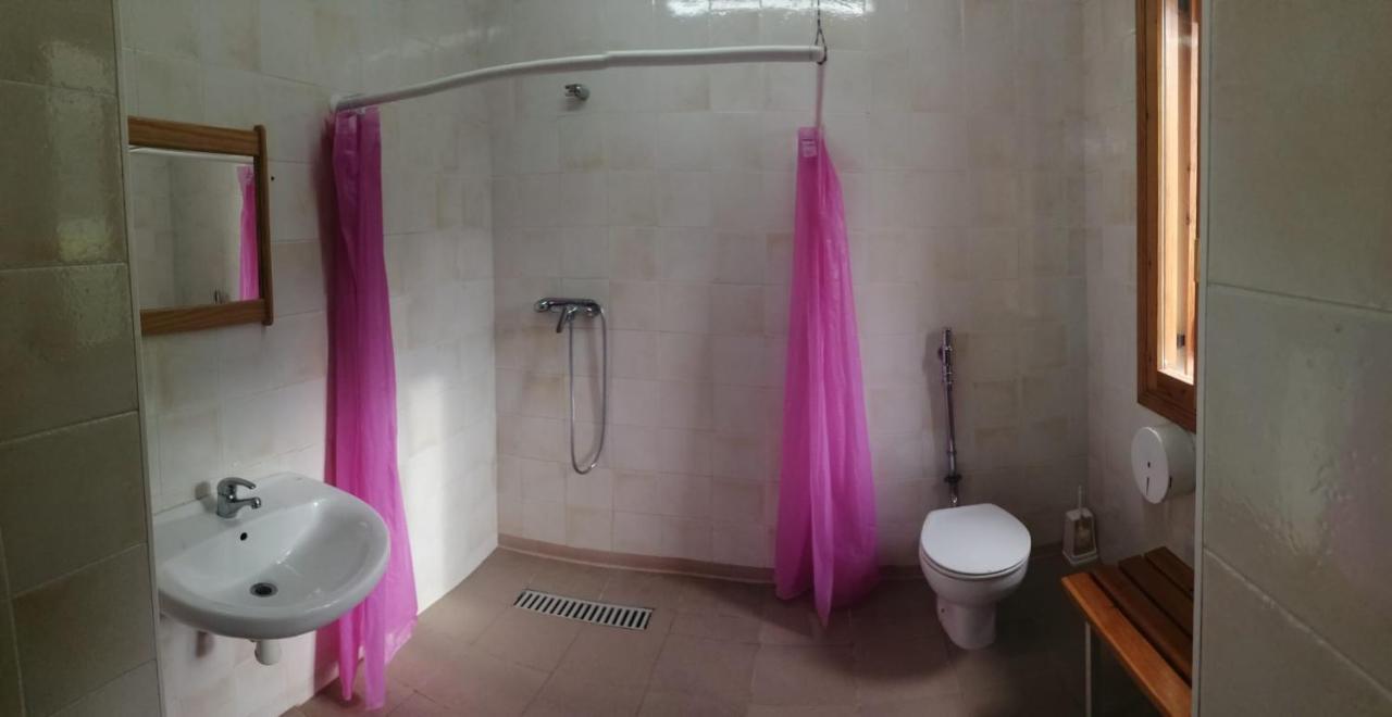Auberge de jeunesse La Casa De Pineta à Bielsa Extérieur photo